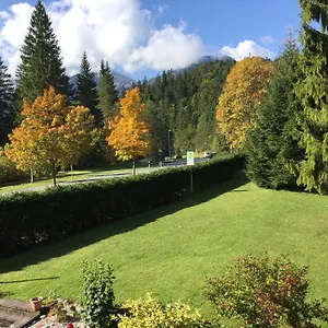 Alpine Blue , Griesen Germany